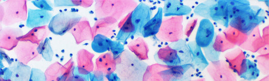 Brief About Cytology: Definition, Advantages, and Methods.